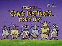 Cow And Chicken